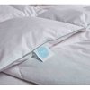 Martha Stewart White Goose Feather & Down Comforter, White, Twin MS003034
